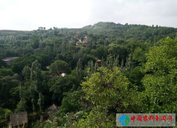 庆胡村 (15)
