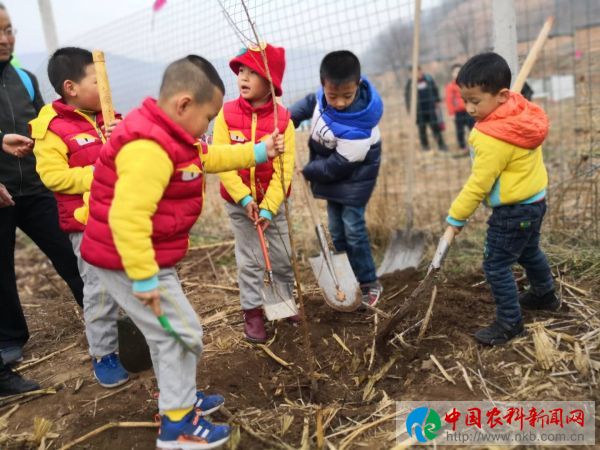 微信图片_20180311111658