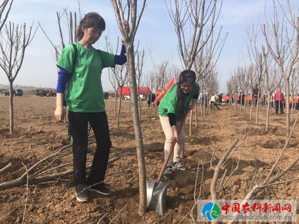 微信图片_20180312164045