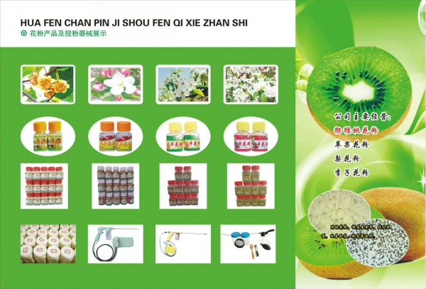 图片1