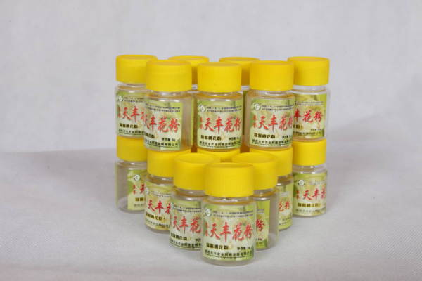图片1