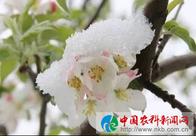 防1