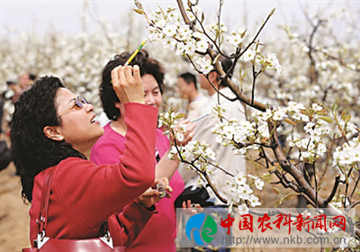 防6