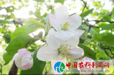 防1