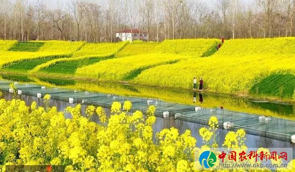 油1