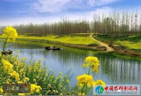 油8