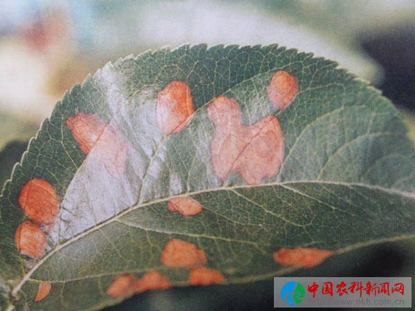 谷3