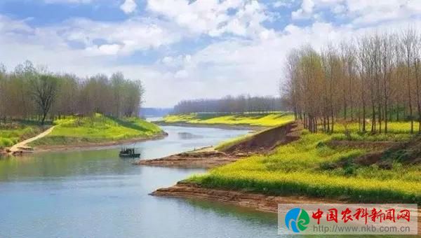 油9