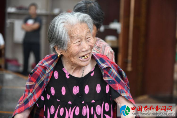 图片6