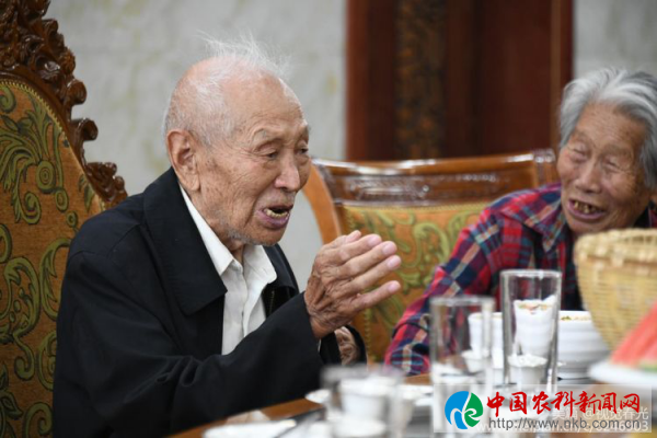 图片8