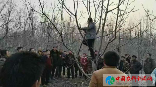 微信图片_20180714190311