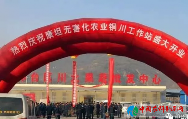 QQ截图20180824175742