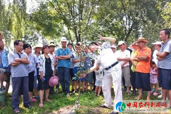 QQ截图20180824175808