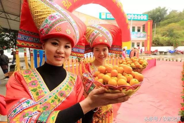 首届“中国农民丰收节”怎么过？电商将打造农特产品“双十一”
