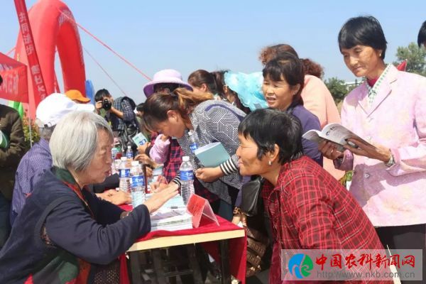 640.webp (5)