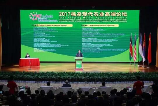 QQ截图20181024092536