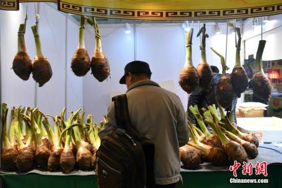 資料圖。<a target='_blank'  _fcksavedurl='http://www.chinanews.com/'>中新社</a>記者 任東 攝