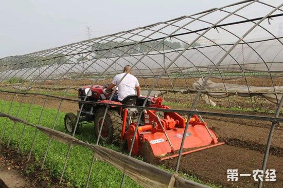 蔬菜連續(xù)種植產量低 “濕旱輪作”解難題