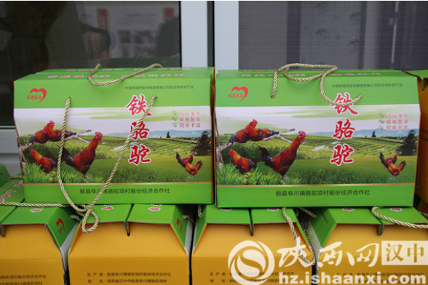 TIM截图20190126085542