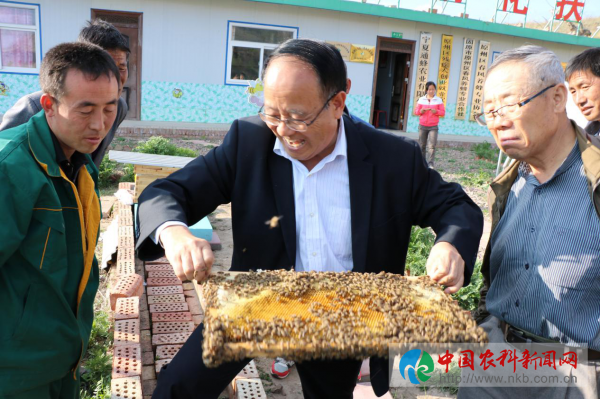 图片1
