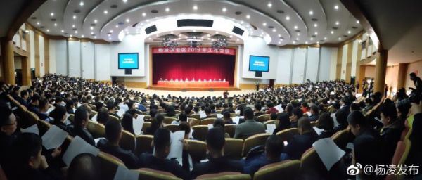微信图片_20190320091627