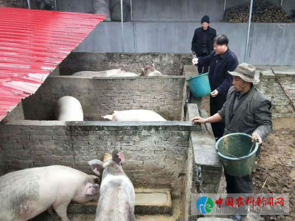 陈5