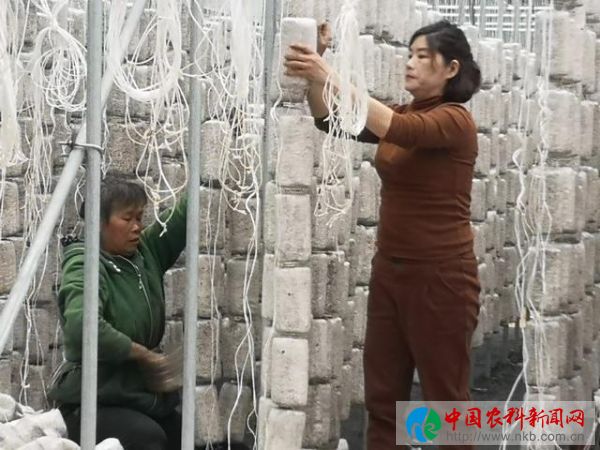 唐艳丽1
