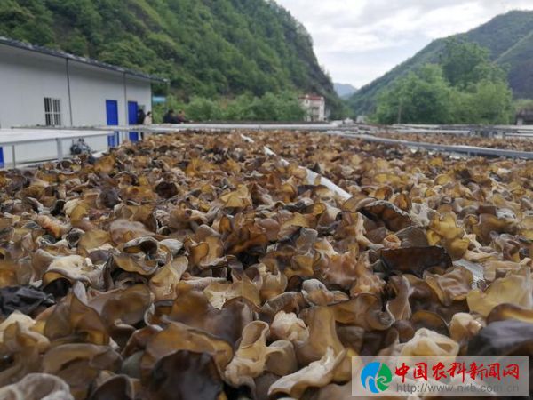 唐艳丽2