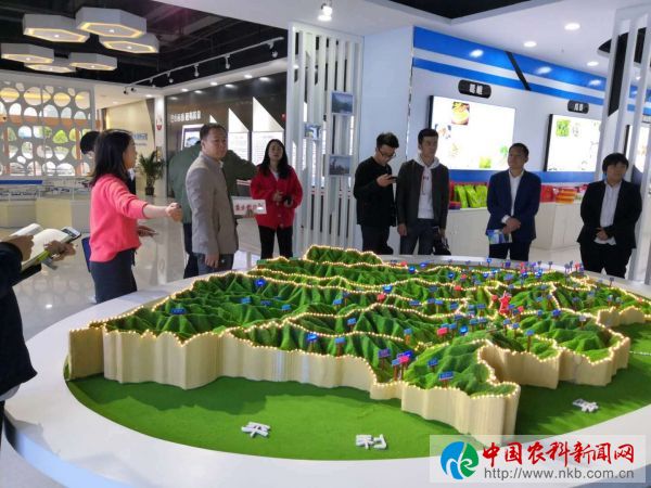 图片2