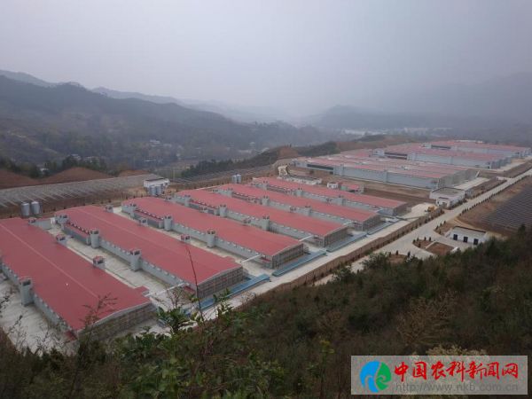 刘欣2