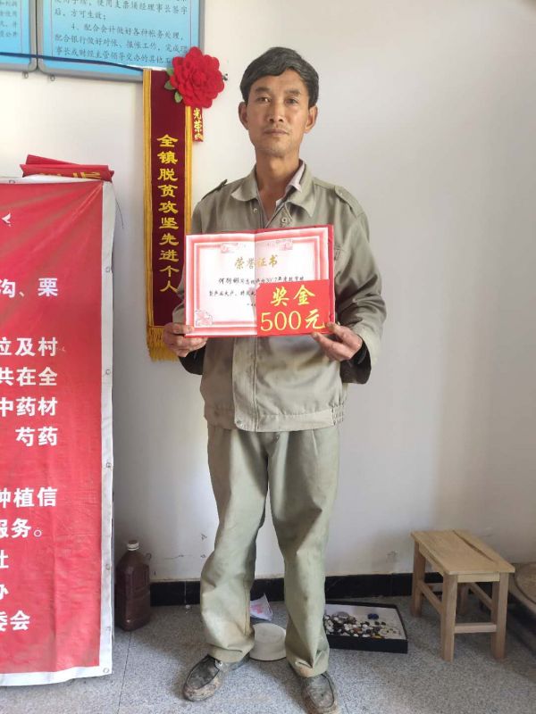 陈1