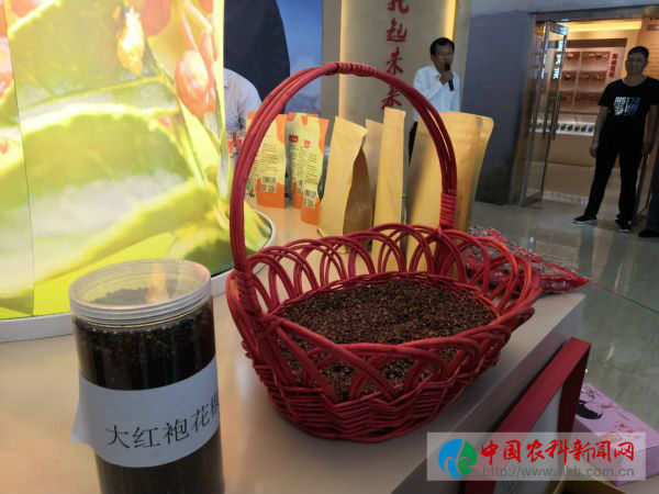 微信图片_20190525101156