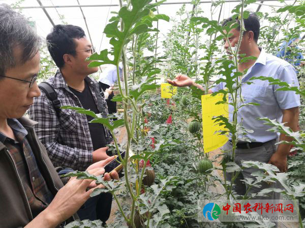 微信图片_20190529144344