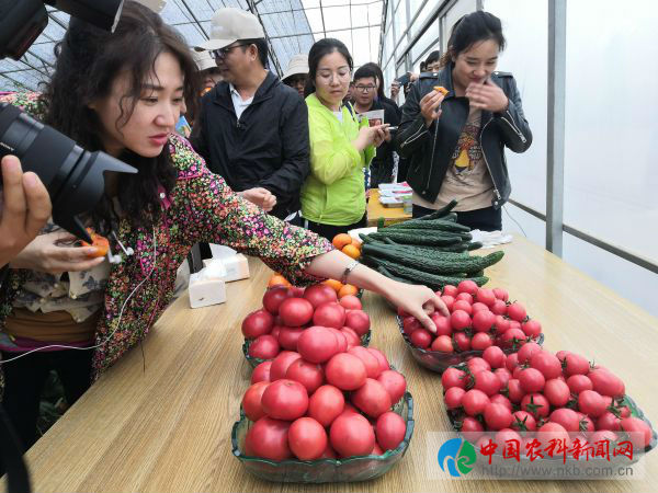 微信图片_20190529144344