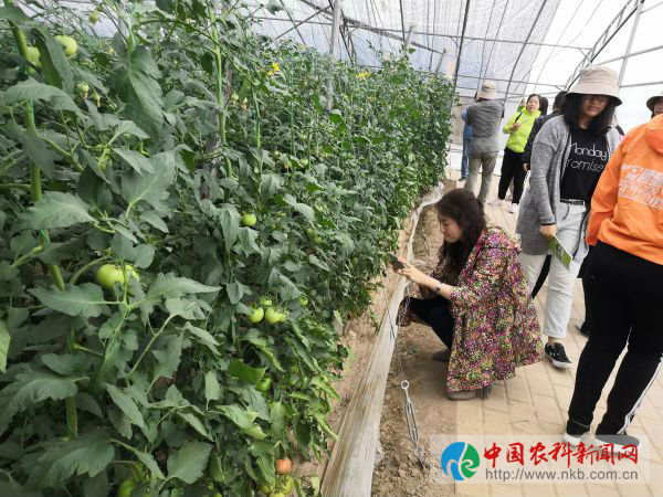 微信图片_20190529144344