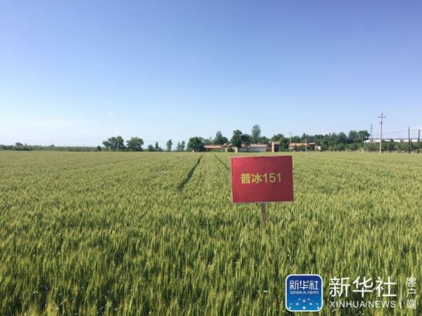 微信图片_20190605145934
