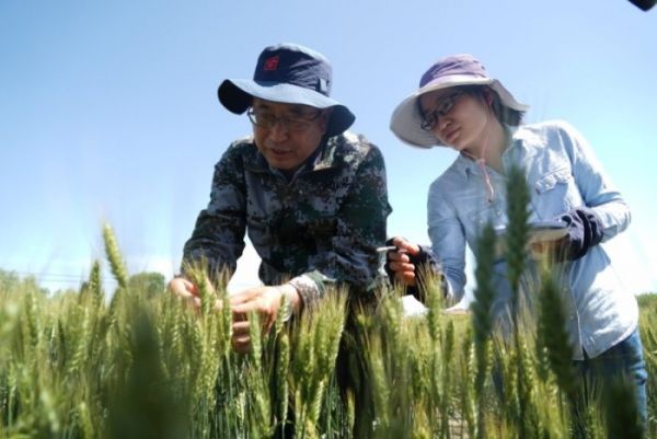 微信图片_20190605145934