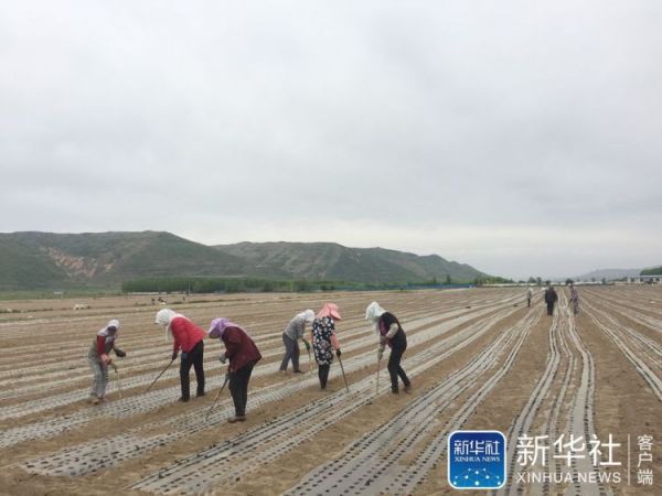 微信图片_20190605182615