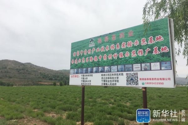 微信图片_20190605182615