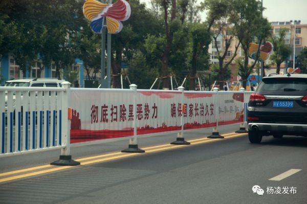 微信图片_20190611152418