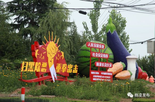 微信图片_20190611152414