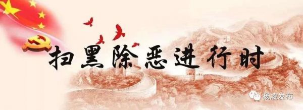 微信图片_20190611152427