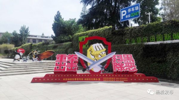 微信图片_20190611152442