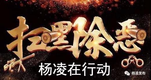 微信图片_20190612100806