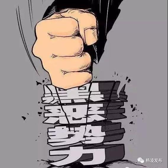 微信图片_20190612101732