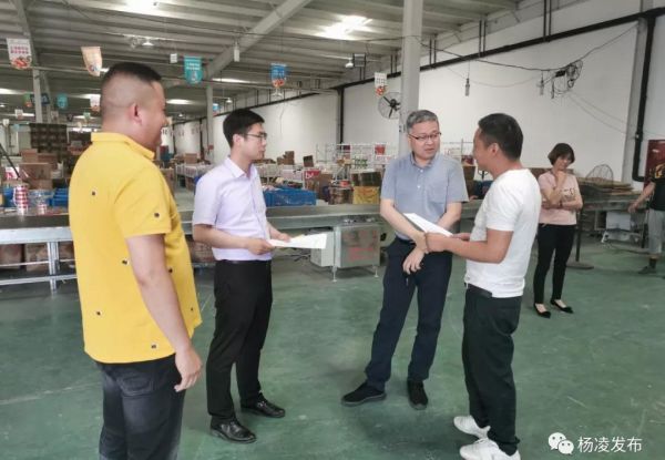微信图片_20190609090331