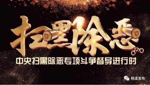微信图片_20190610082708