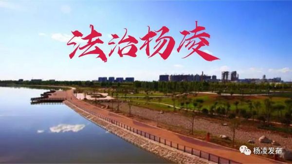 微信图片_20190702091952