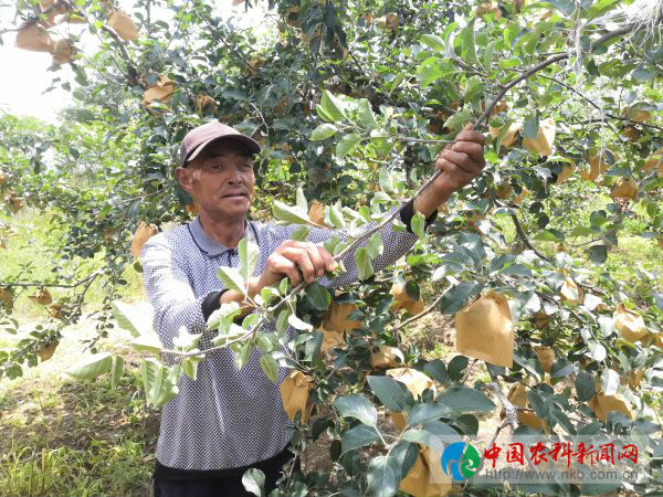 阳6jpg