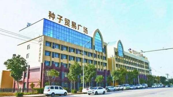 图片1